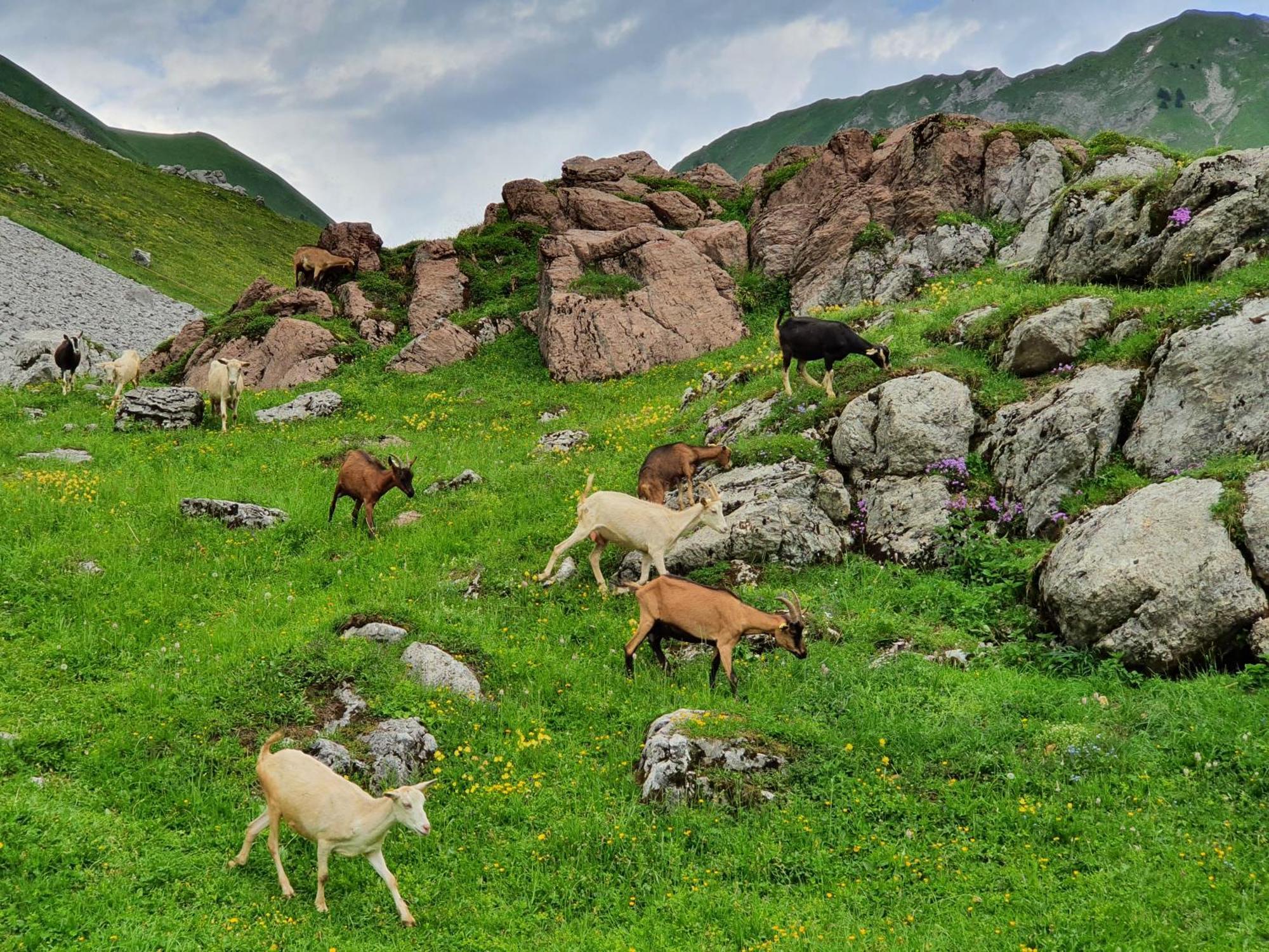 Centfontaines City Bonnevaux  Dış mekan fotoğraf